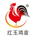红玉鸡苗logo