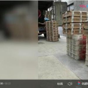 红玉鸡苗运输视频